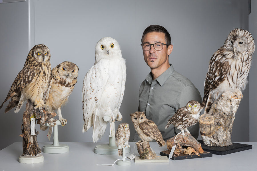 Dr. Manuel Schweizer